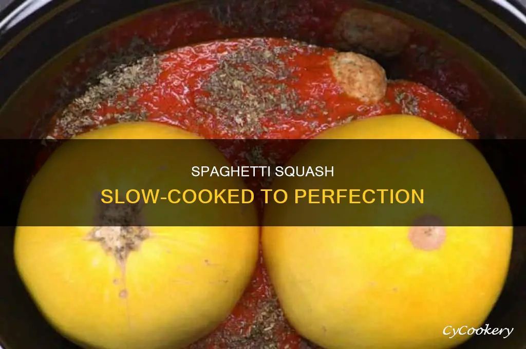 how to cook spagetti squash in crock pot
