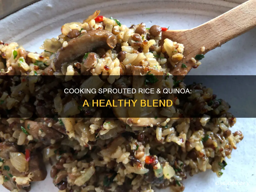 how to cook sprouted rice and quinoa blend