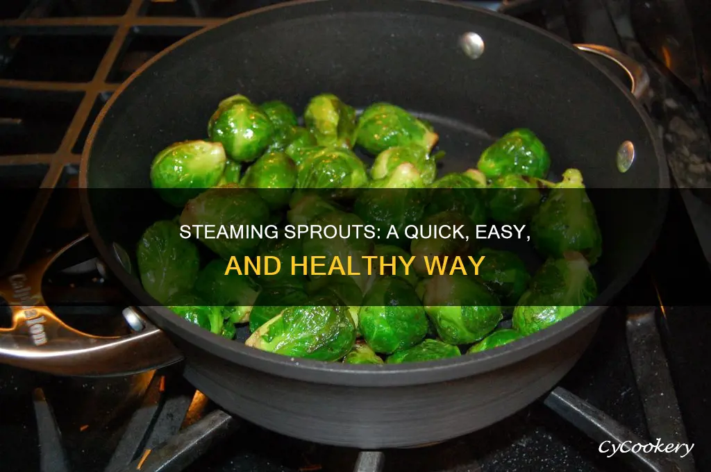 how to cook sprouts in a steamer