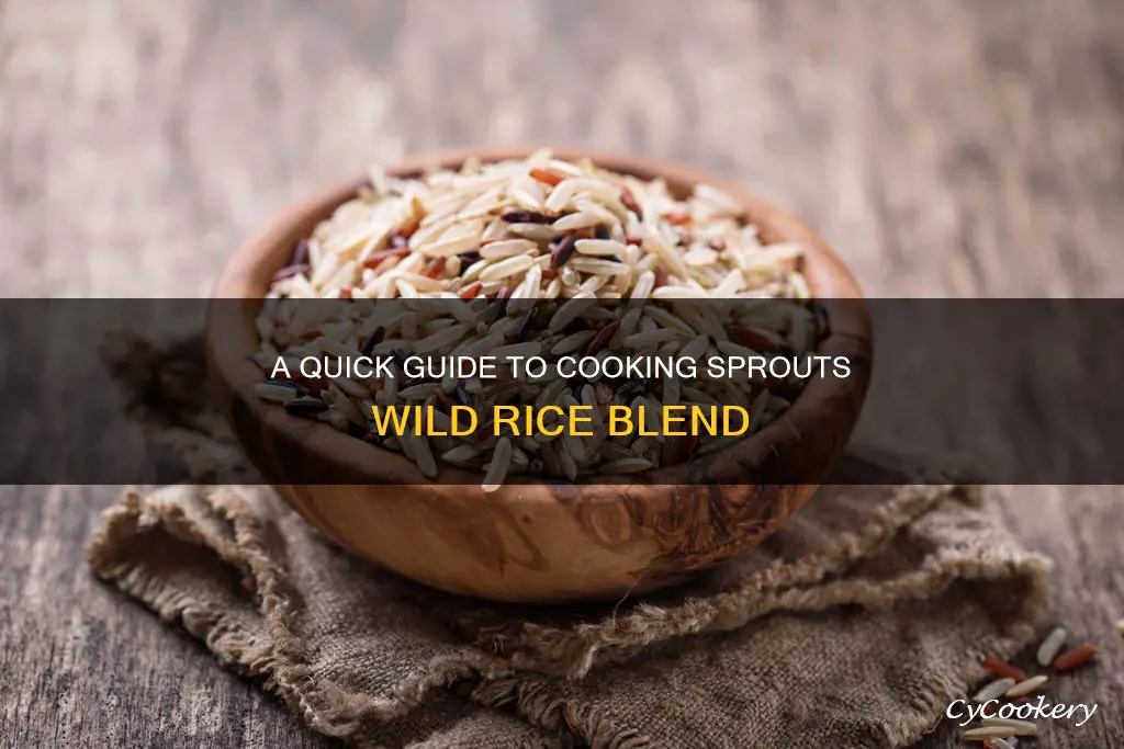 how to cook sprouts wild rice blend