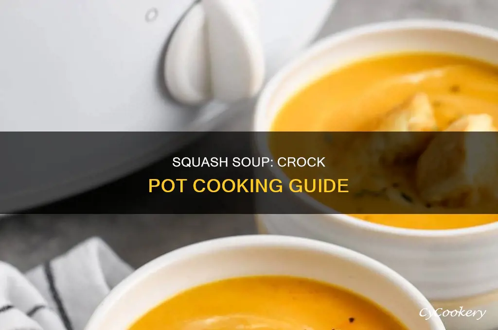 how to cook squash soup in crock pot