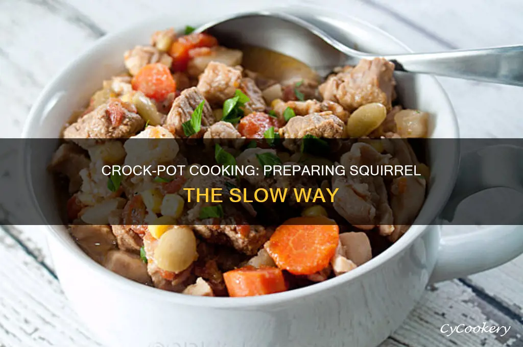 how to cook squirrel in a crock pot