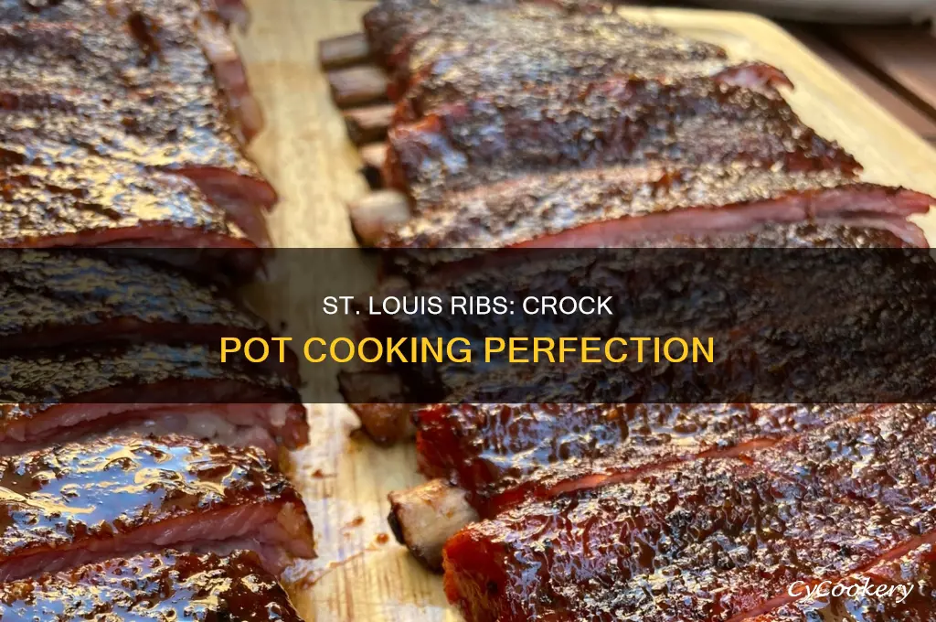 how to cook st louis ribs in a crock pot