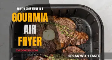 Air Fryer Steak: Cooking with Gourmia