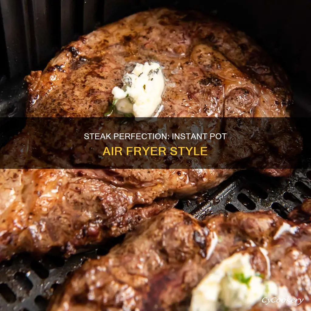 how to cook steak in an instant pot air fryer