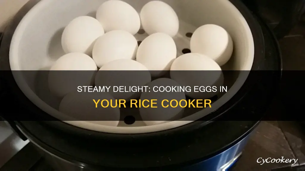 how to cook steam egg in rice cooker