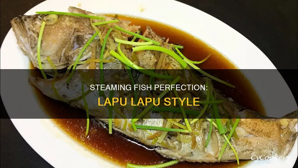 how to cook steam fish lapu lapu