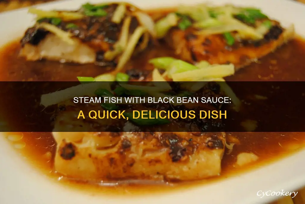 how to cook steam fish with black bean sauce