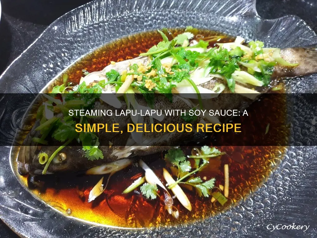 how to cook steam lapu lapu with soy sauce