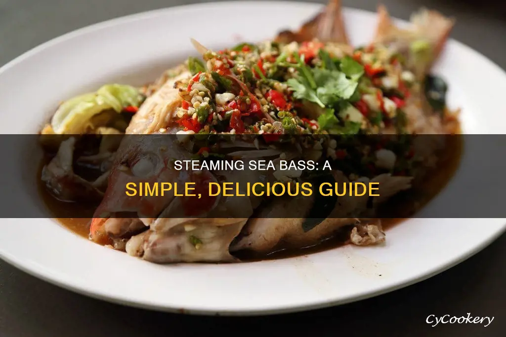 how to cook steam sea bass