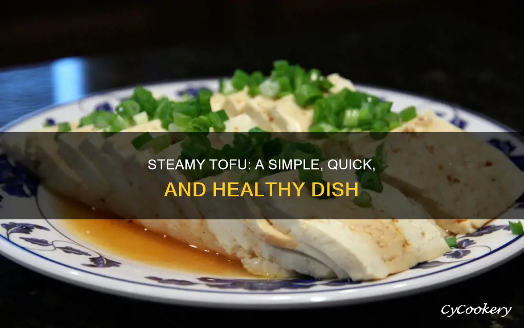 how to cook steam tofu