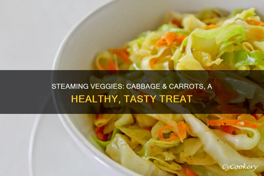 how to cook steamed cabbage and carrots