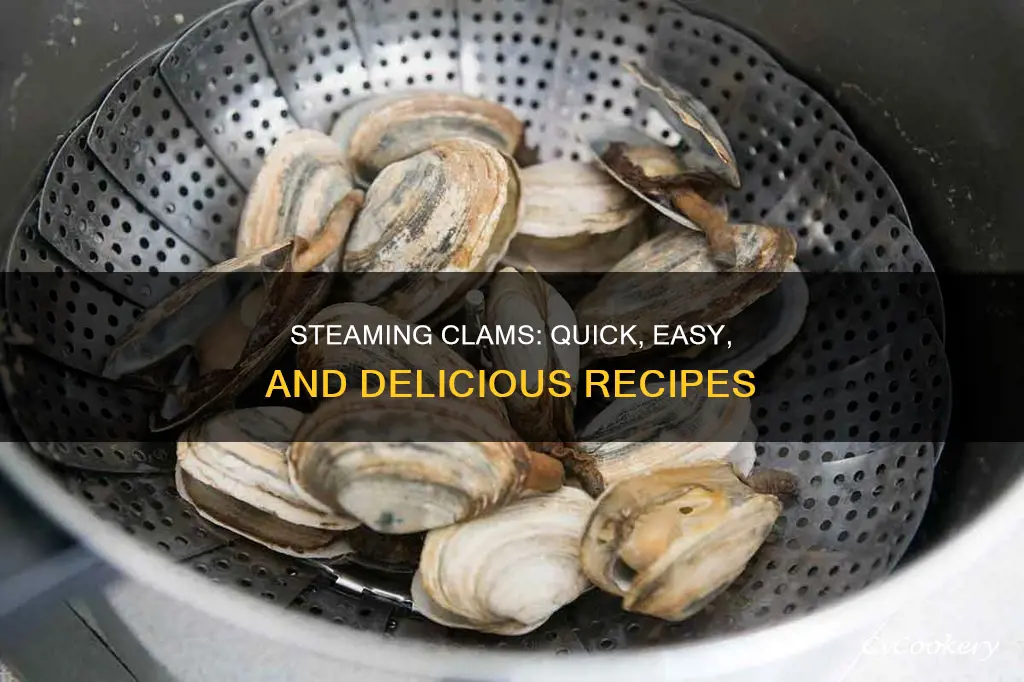 how to cook steamed clam recipes