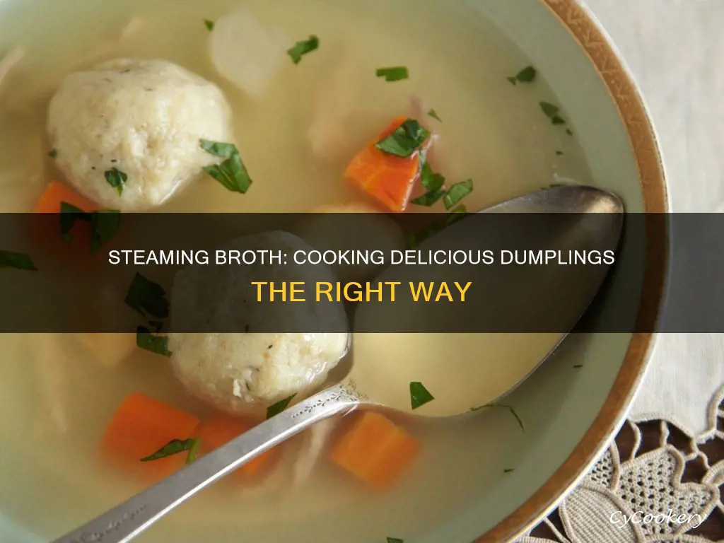 how to cook steamed dumplings in broth