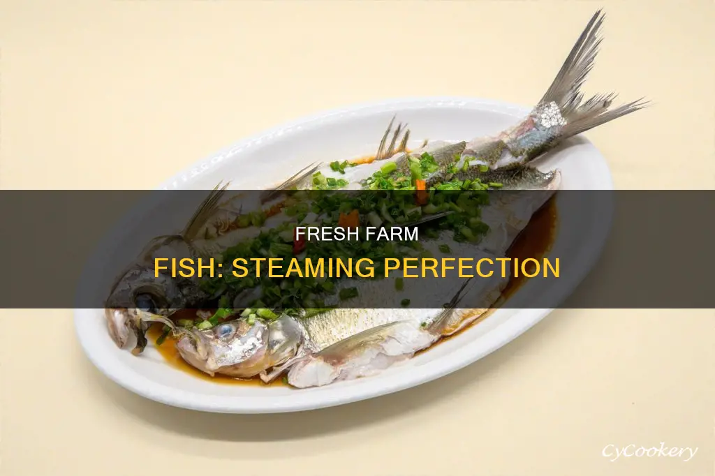 how to cook steamed fish fae farm