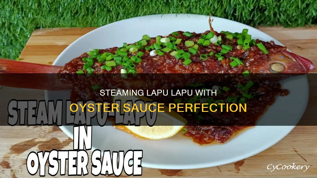 how to cook steamed lapu lapu with oyster sauce