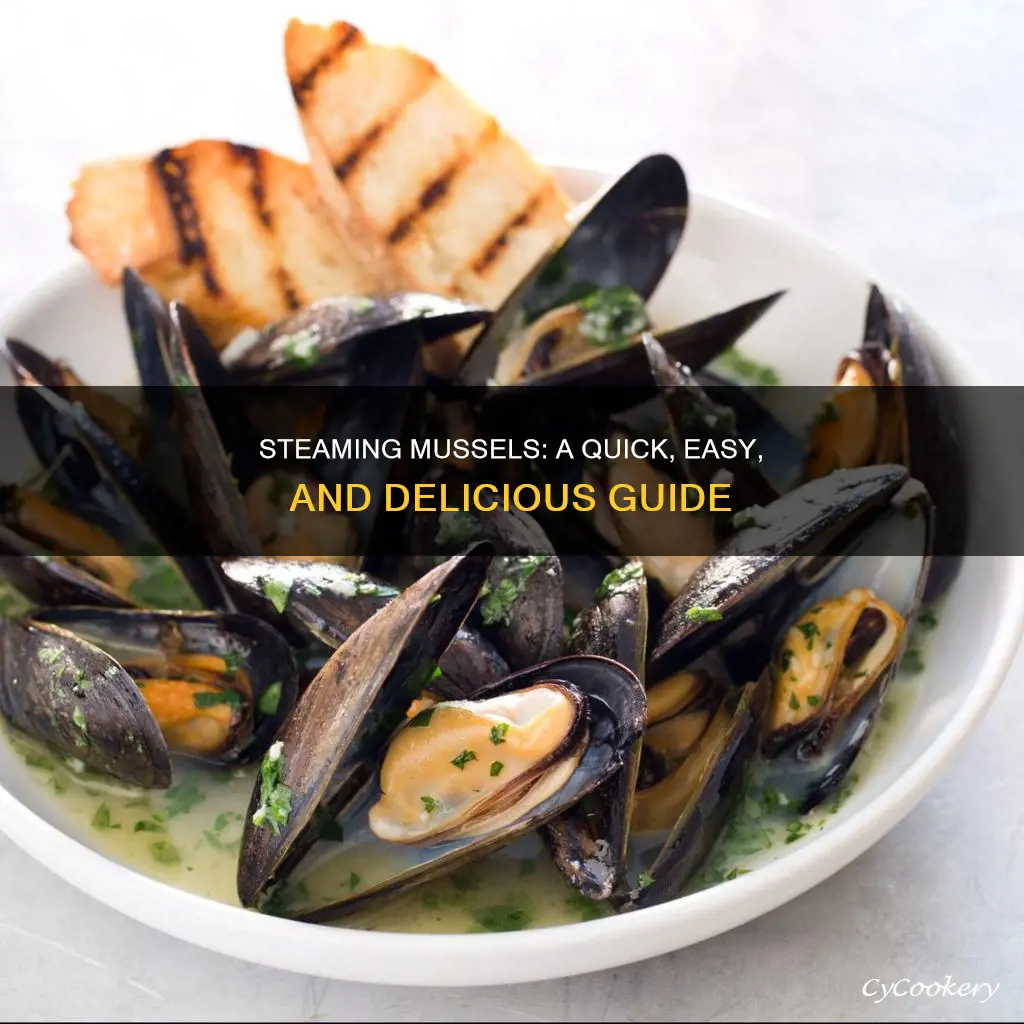 how to cook steamed mussels