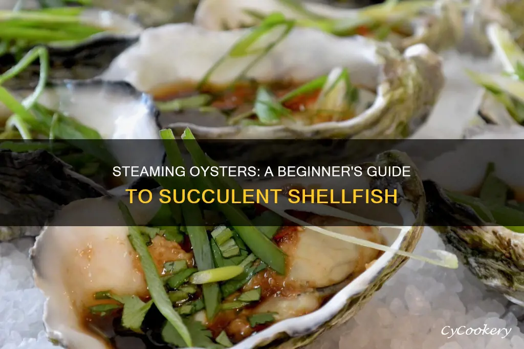 how to cook steamed oysters