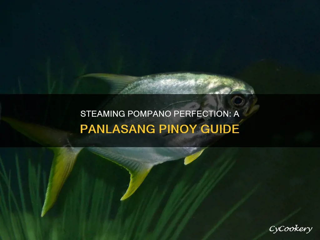 how to cook steamed pompano panlasang pinoy