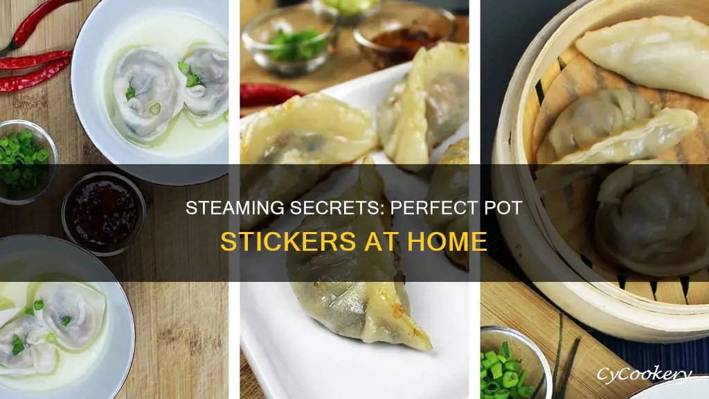 how to cook steamed pot stickers