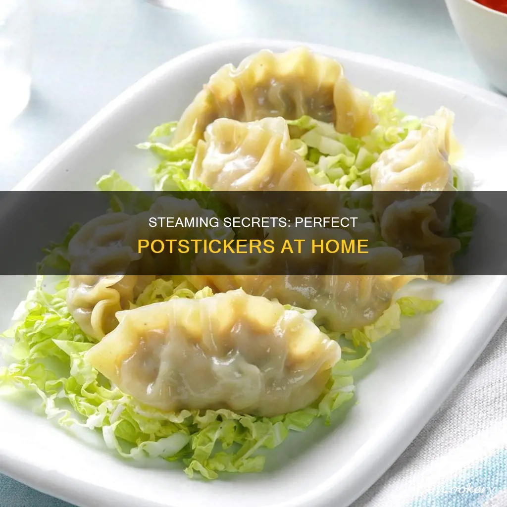 how to cook steamed potstickers