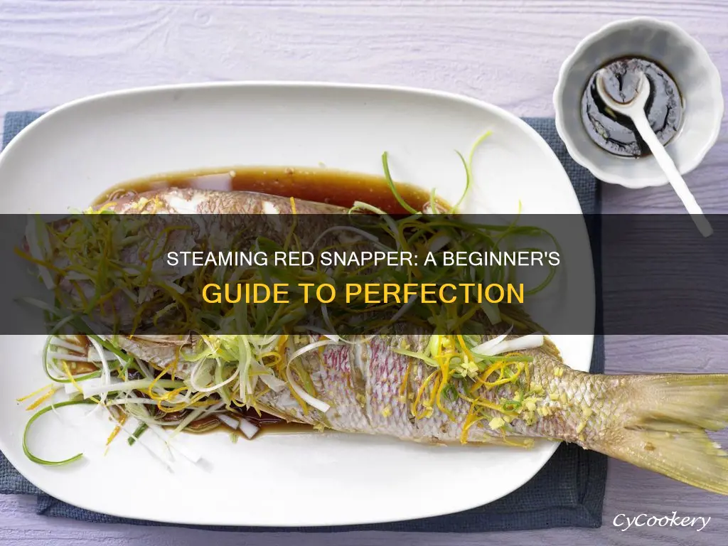 how to cook steamed red snapper