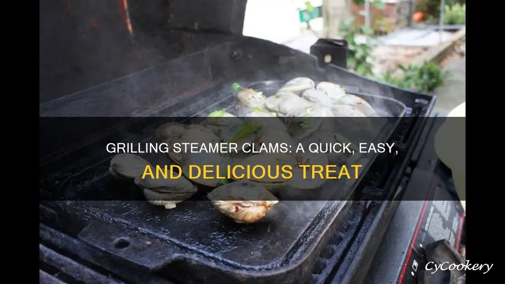 how to cook steamer clams on the grill