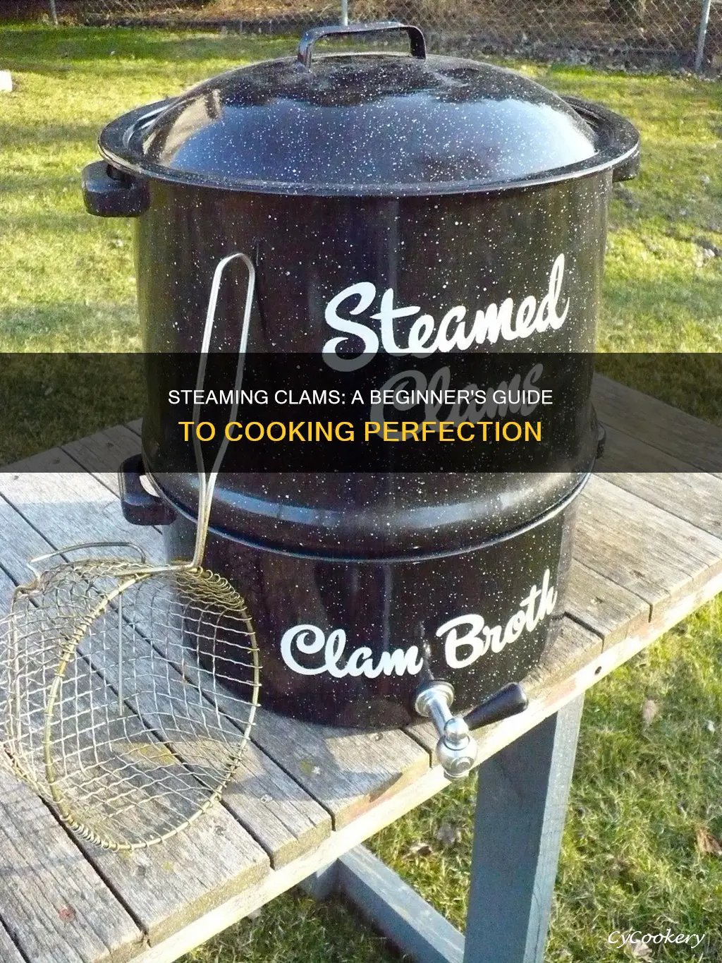 how to cook steamer clams