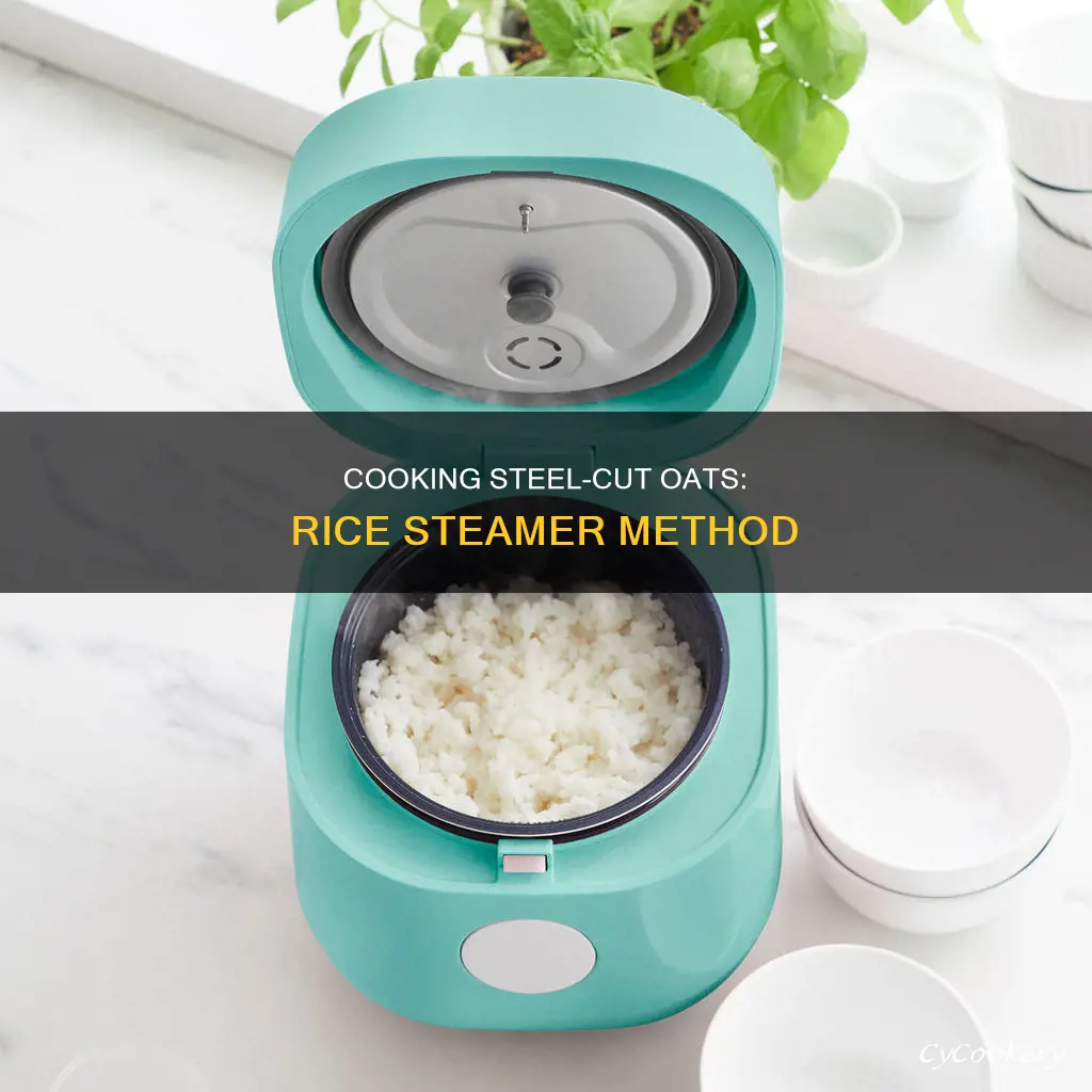 how to cook steel cut oats in a rice steamer