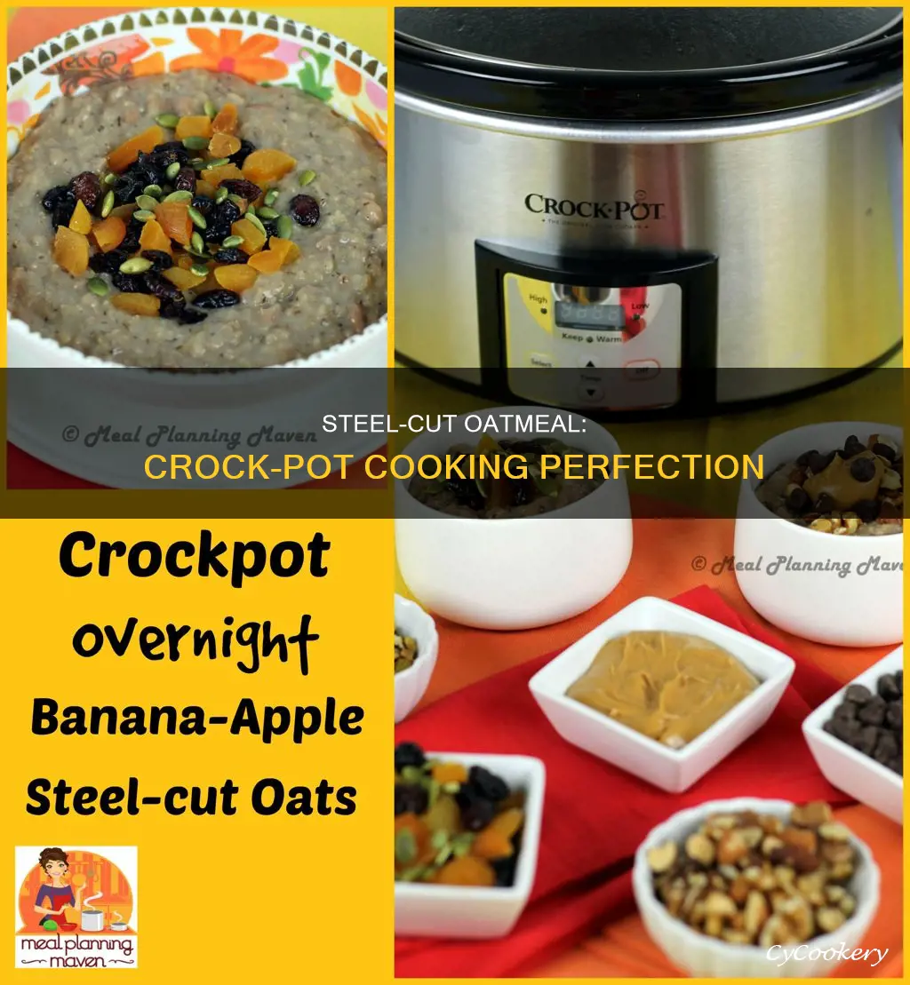 how to cook steel oats in a crock pot