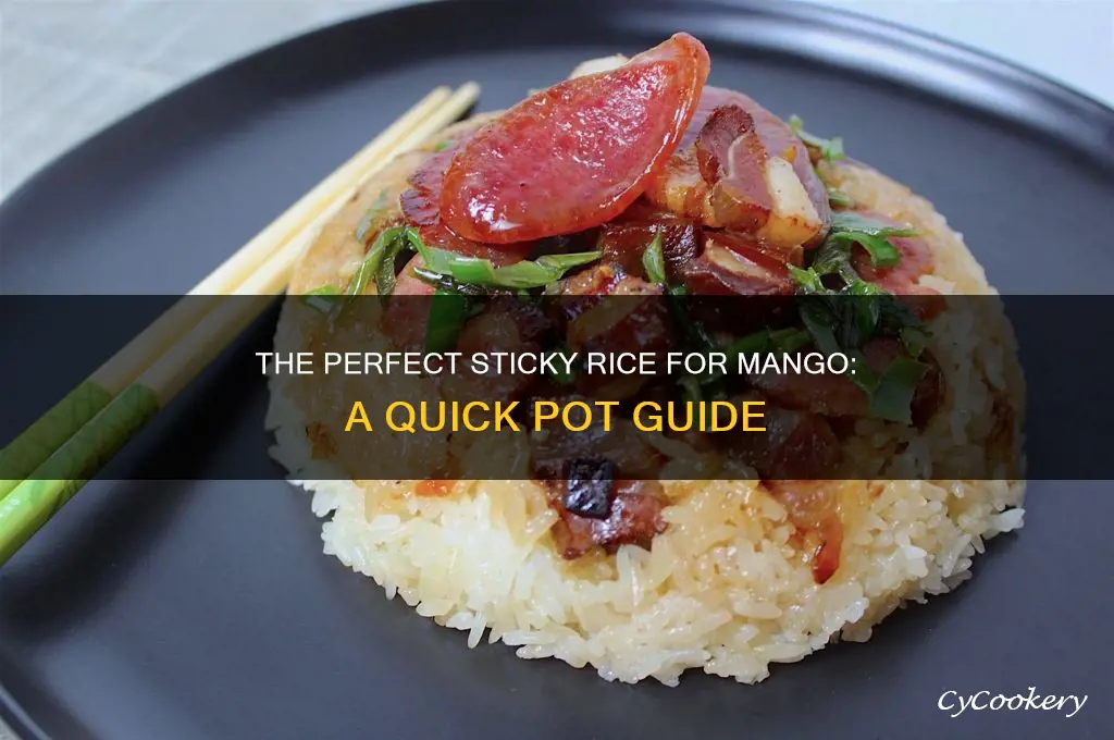 how to cook sticky rice in a pot for mango