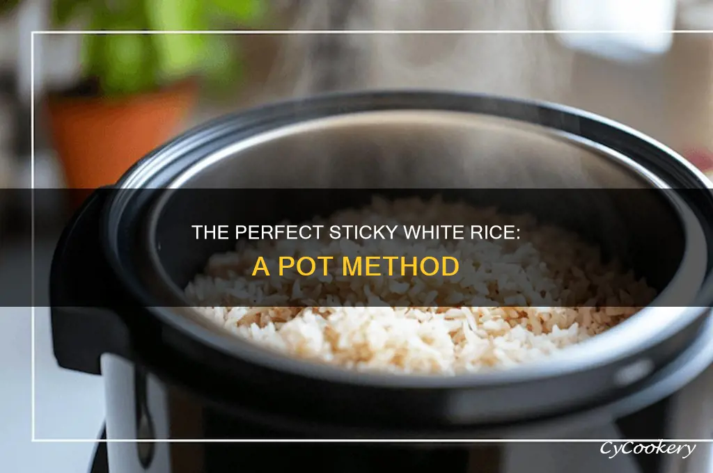 how to cook sticky white rice in a pot