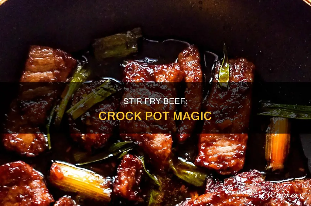 how to cook stir fry beef in crock pot