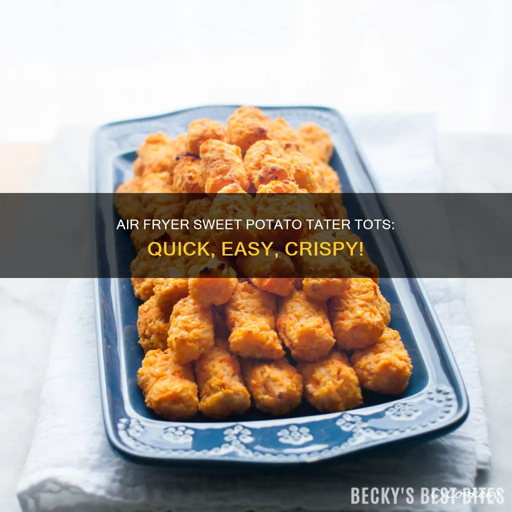 how to cook sweet potato tater tots in air fryer