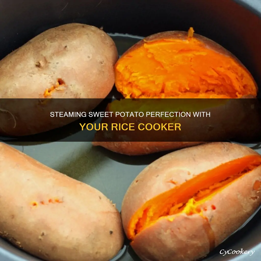 how to cook sweet potatoes in rice cooker steamer