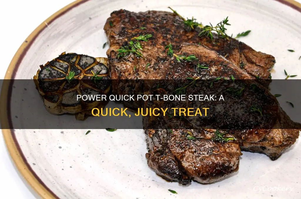 how to cook t bone steak in power quick pot