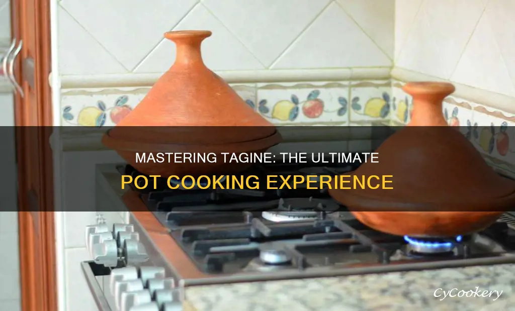 how to cook tagine in a tagine pot