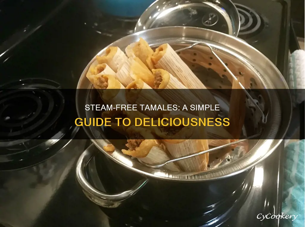 how to cook tamapales with out a steamer