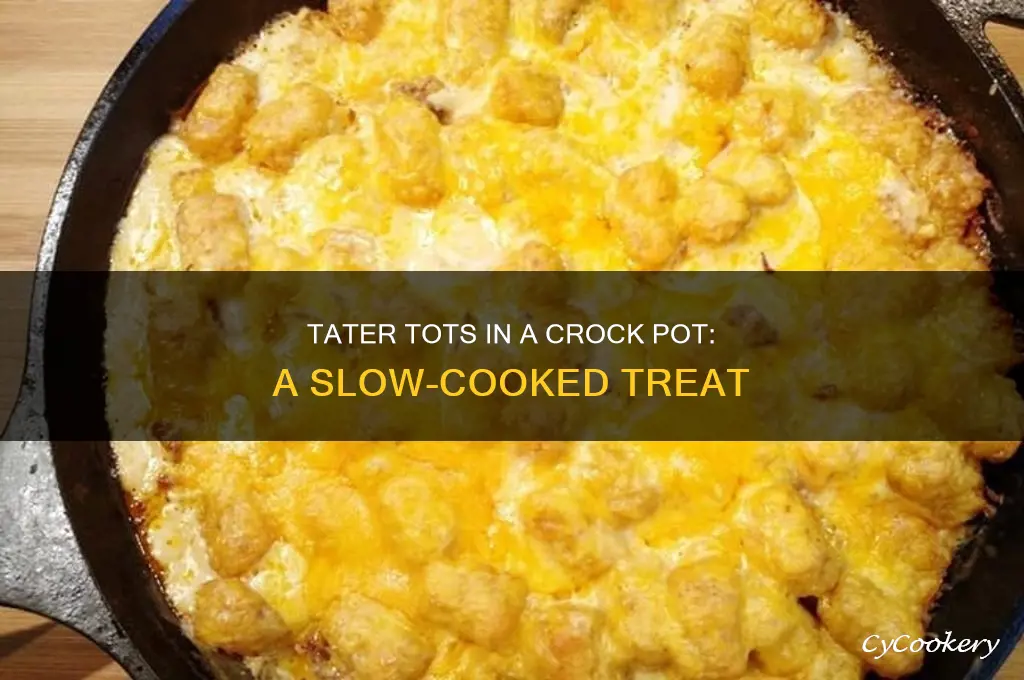 how to cook tater tots in a crock pot