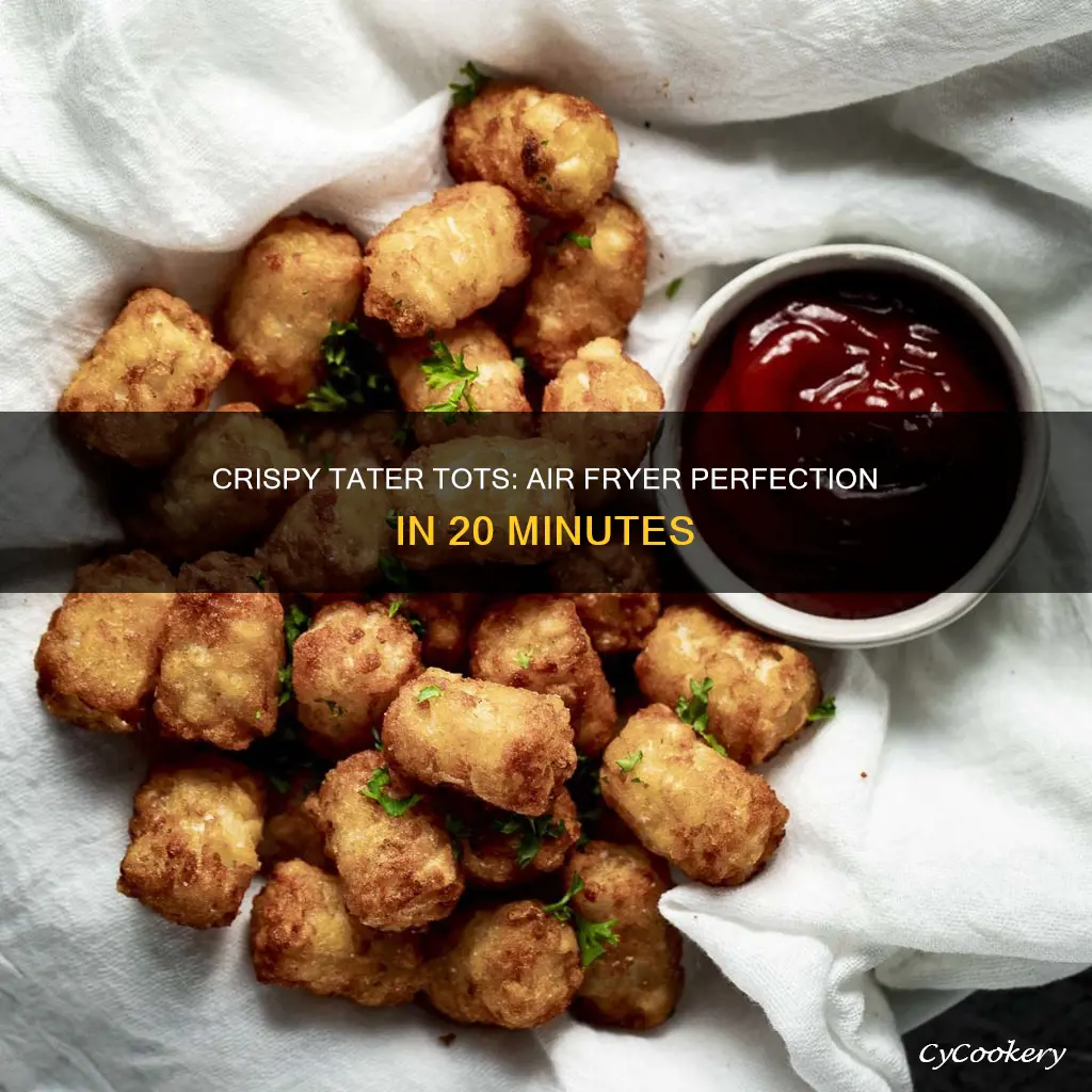 how to cook tater tots in an air fryer