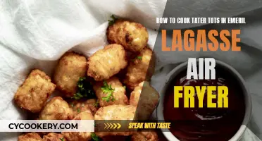 Air Fryer Tater Tots: Emeril Lagasse's Quick Recipe