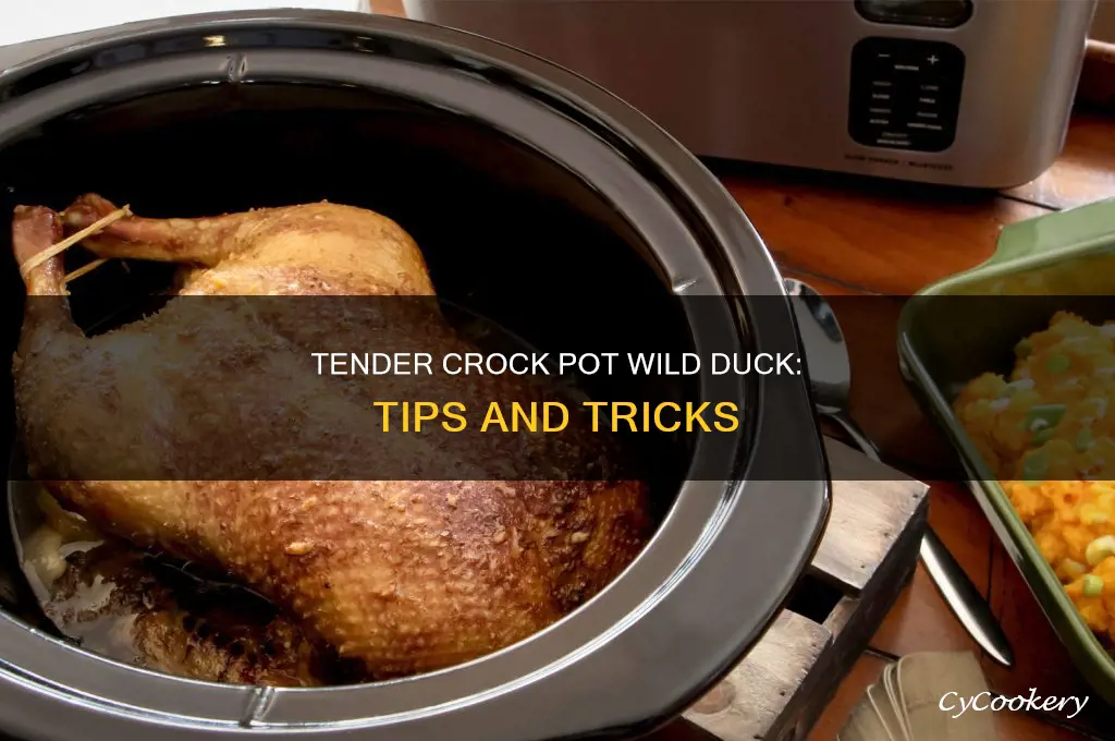 how to cook tender wild duck I crock pot