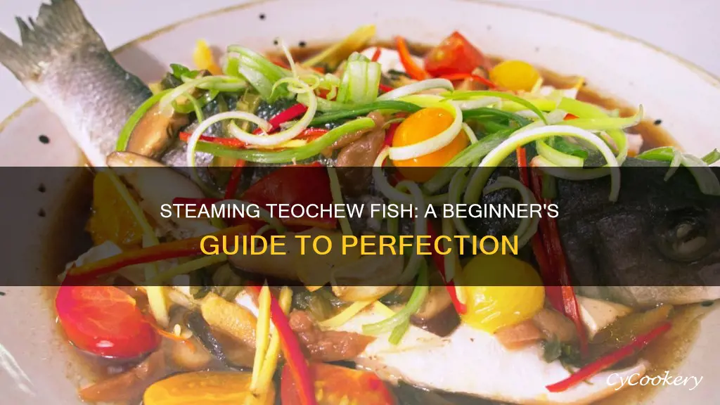 how to cook teochew steam fish