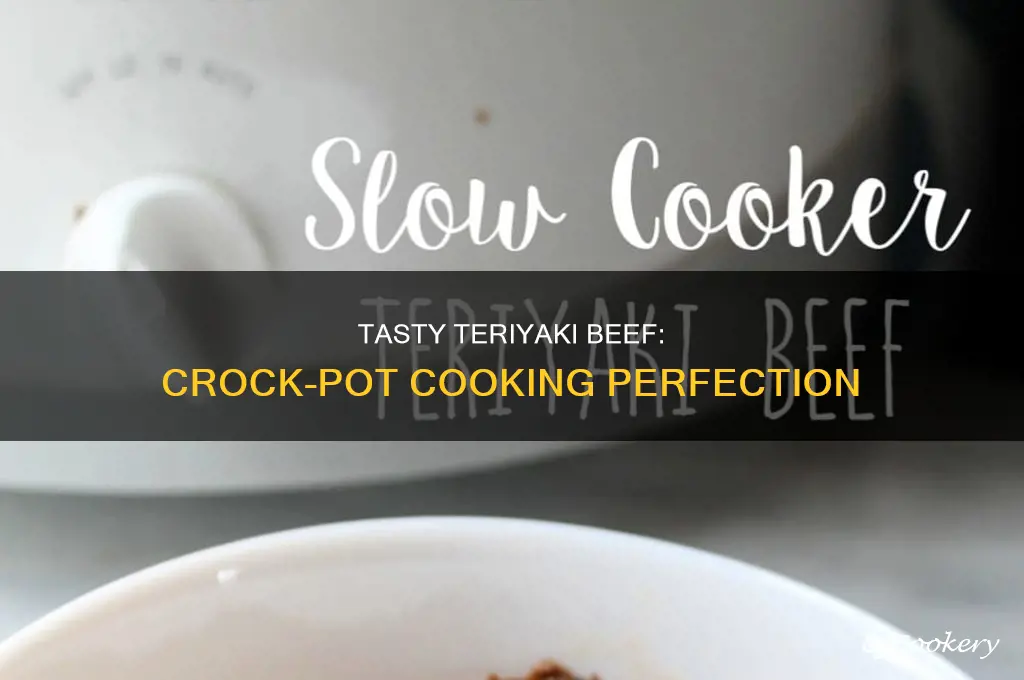how to cook teriyaki beef in a crock pot