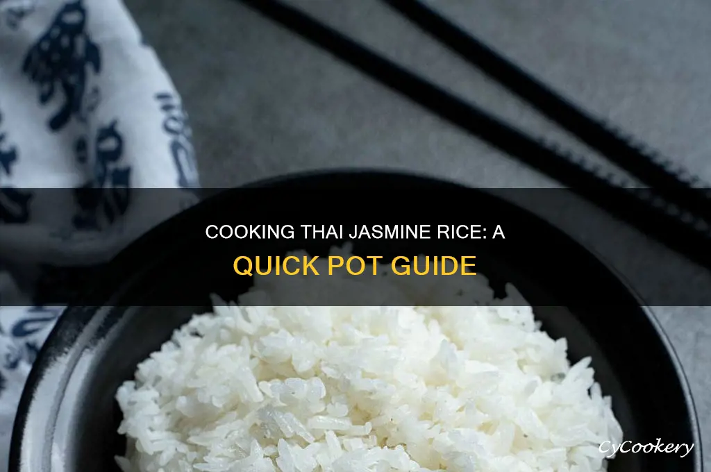 how to cook thai jasmine rice in a pot