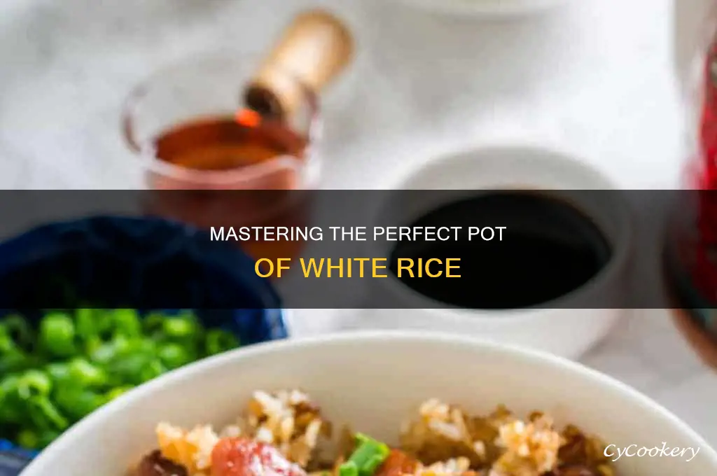 how to cook the perfect pot of white rice