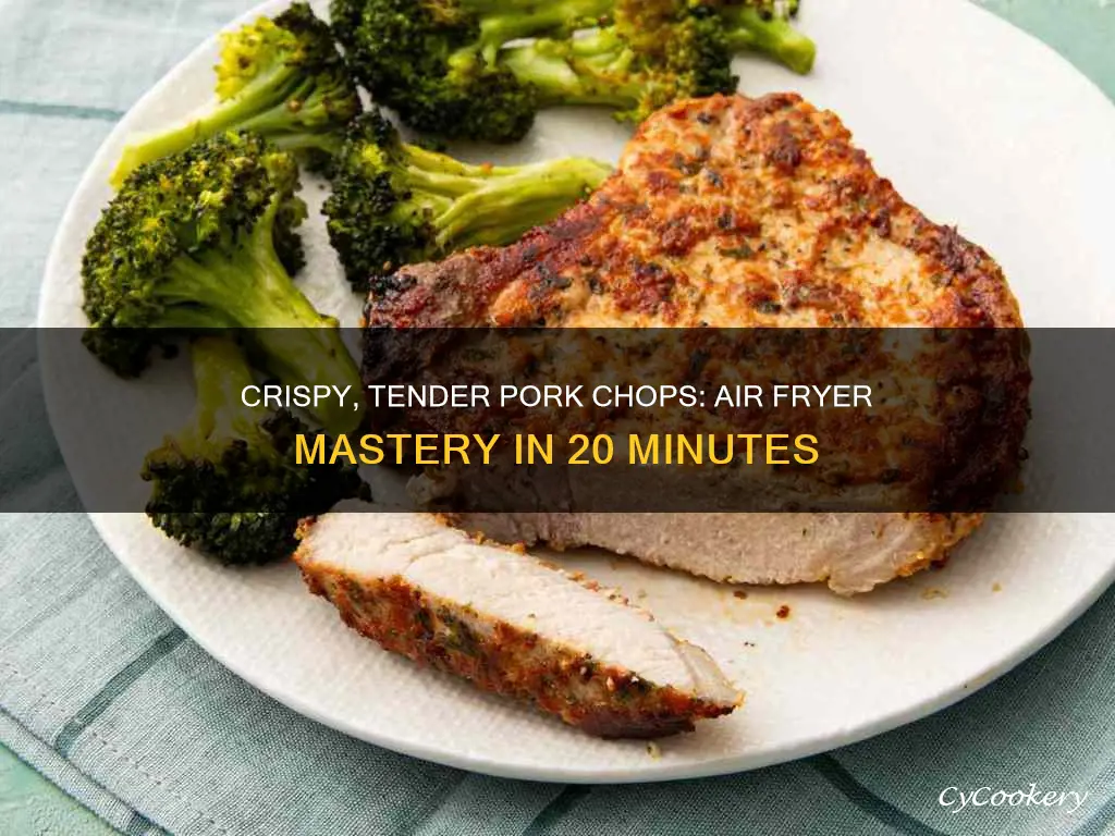 how to cook thin pork chops in the air fryer