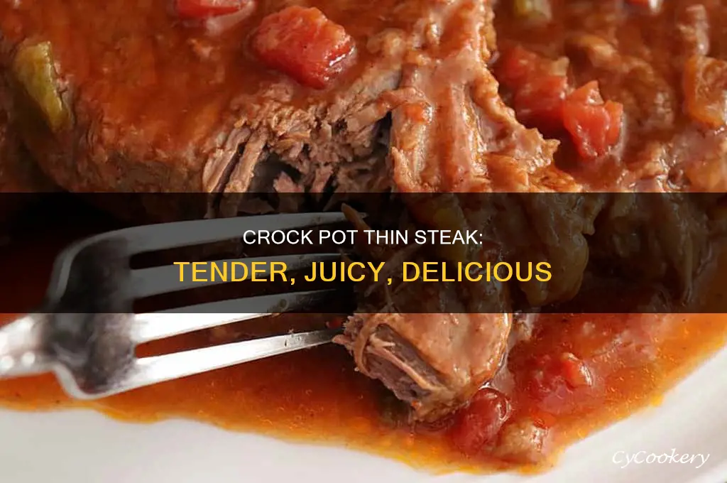 how to cook thin steak in crock pot