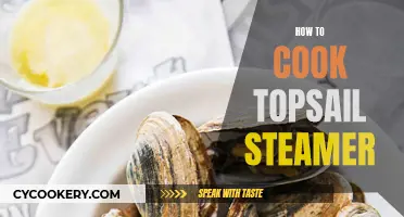 Steaming Topsail: A Beginner's Guide to Cooking Perfection