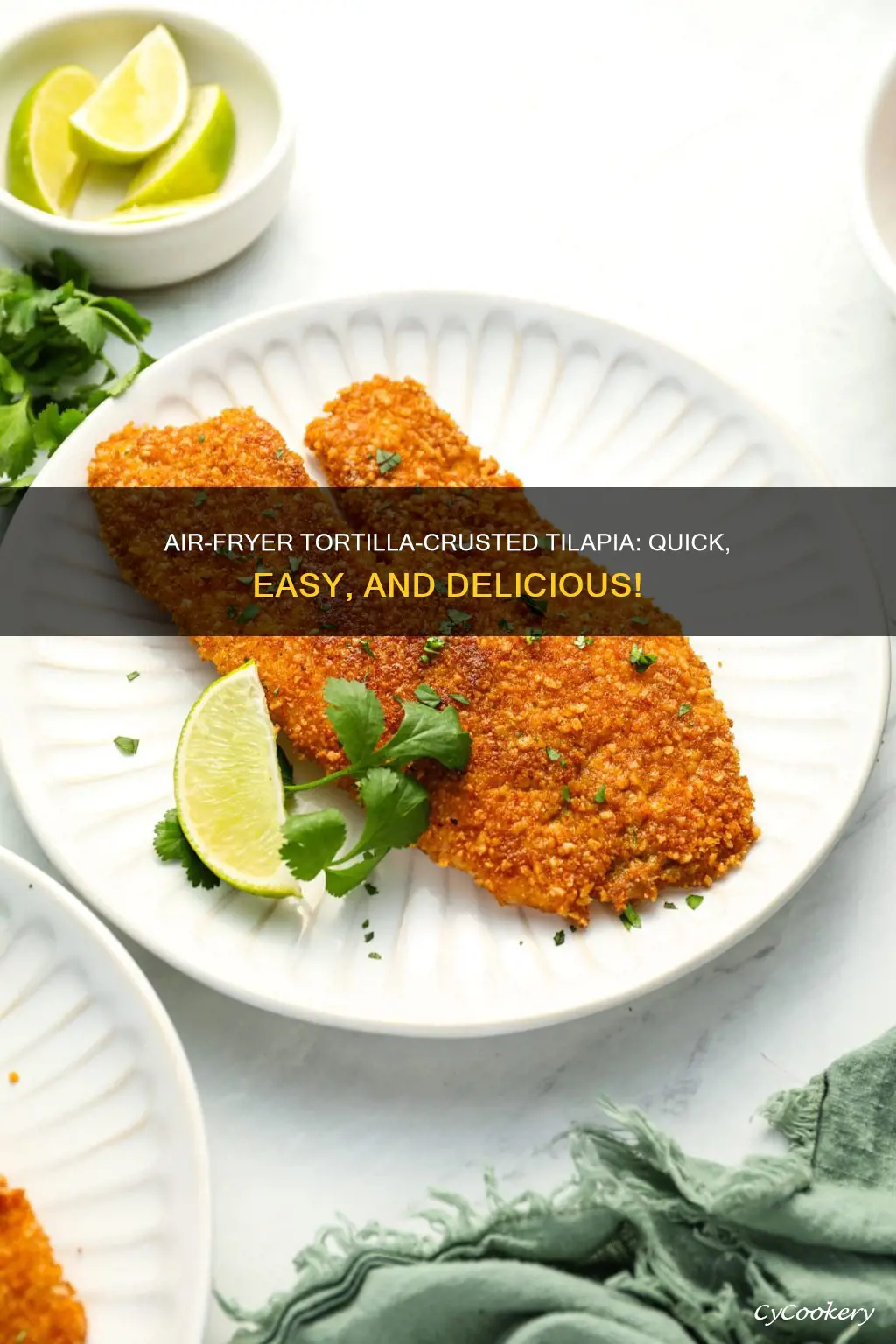 how to cook tortilla crusted tilapia in air fryer